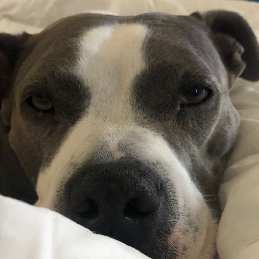 Meet your Posher, Mario